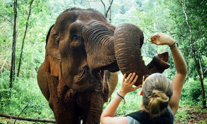 Four Days Tour in Kratie and Mondulkiri